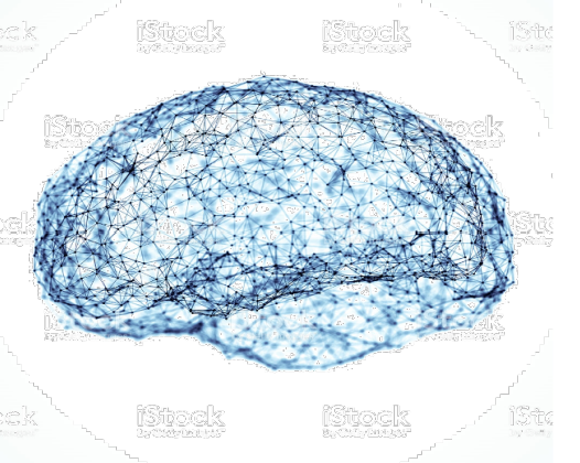 Brain Network