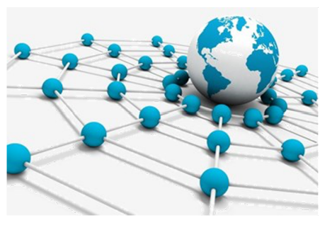 Web Network 